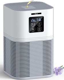 VEWIOR 2 in 1 Air Purifier with H13 Filters for Home Allergies Pets Hair Odor Eliminators Aromatherapy diffuser and Auto Mode Quiet Air Cleaner f